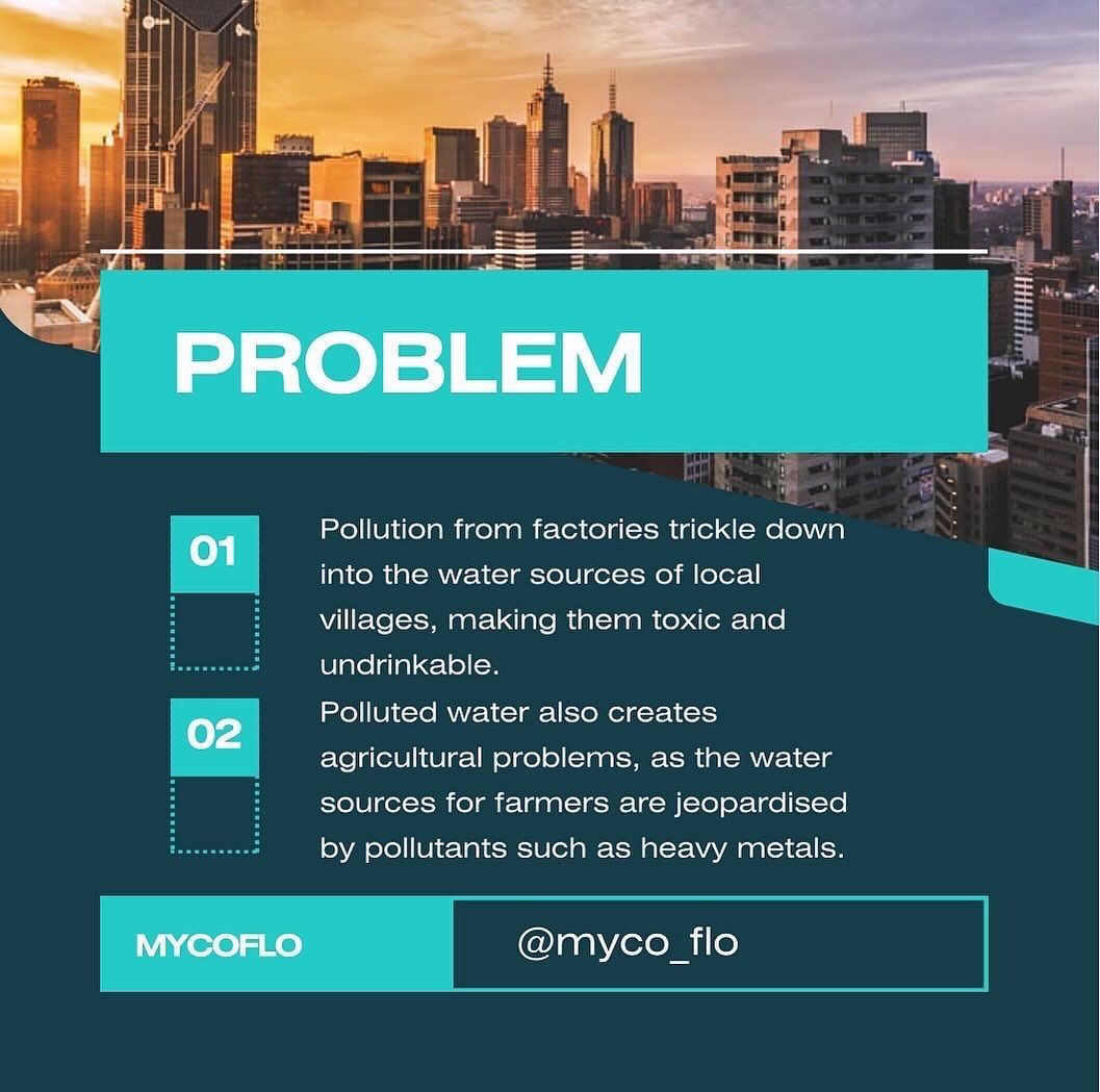 Myco Flo gallery photo