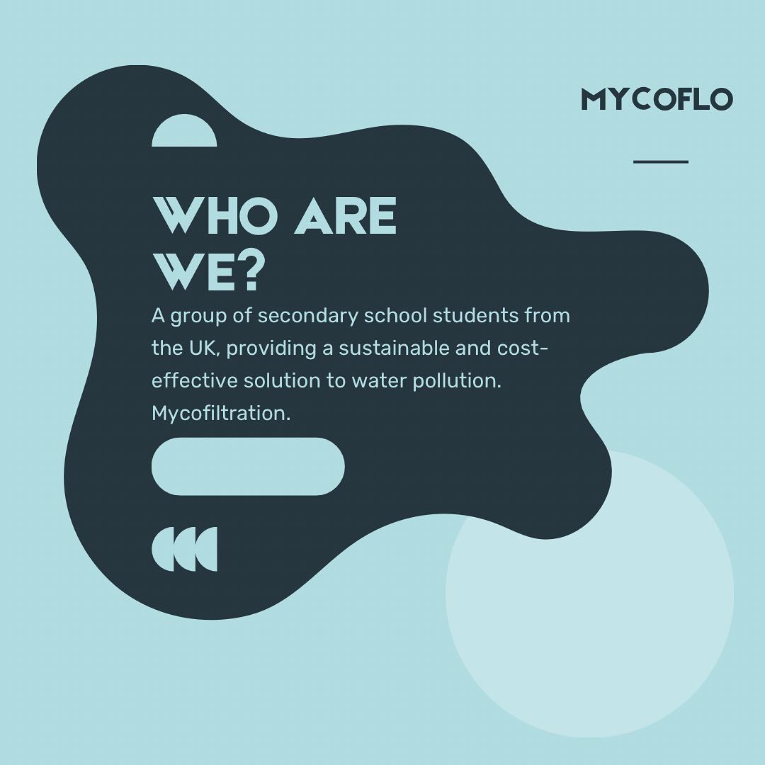 Myco Flo gallery photo
